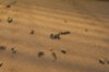 DSC01695.JPG
