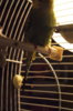DSC01697.JPG