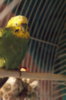 DSC01706.JPG