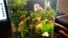 20160508_180727.jpg