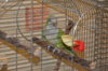DSC_0425.JPG