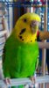 IMG_20160514_140626.jpg