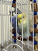 camphoto_758783491.jpeg