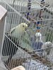 IMG_7332.jpeg