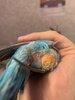IMG_0670.jpeg