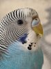 IMG_20250829_143858.jpg
