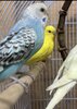 IMG_2506.jpeg