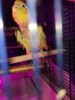 20251018_212246.png