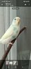 Screenshot_2026-01-18-15-05-32-096_org.telegram.messenger.jpg