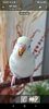 Screenshot_2026-01-18-14-58-54-265_org.telegram.messenger.jpg