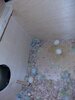 20260121_181116.jpg