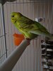 IMG20260127164031.jpg