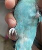 IMG_1138.jpeg