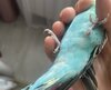 IMG_1139.jpeg