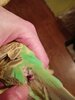 IMG20260322202506.jpg