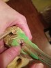 IMG20260322202513.jpg