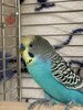 IMG_7620.jpeg