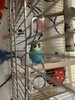IMG_7619.jpeg