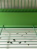 IMG_6782.jpeg