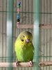 IMG_6780.jpeg