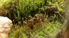 20160516_205221.jpg