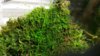 20160516_205143.jpg