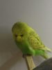 image.jpeg