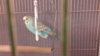20160518_202507.jpg