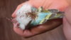 20160518_202933.jpg