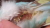 20160518_203026.jpg