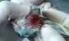 20160519_154506.jpg