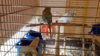 20160519_193654.jpg