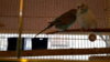 20160519_193749.jpg