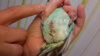 20160519_213622.jpg