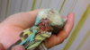 20160519_213637.jpg