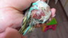 20160520_000054.jpg