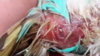 20160520_000012.jpg