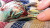 20160520_023802.jpg