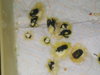 20160520_231636.jpg