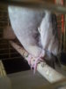 20160521_142041.jpg