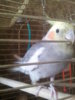 20160521_142107.jpg