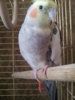 20160521_142420.jpg