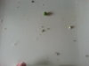20160522_135407.jpg
