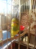 20160522_125811.jpg