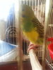 20160522_130007.jpg