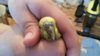 IMG-20160523-WA0003.jpg