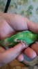 IMG-20160523-WA0004.jpg
