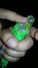 IMG-20160523-WA0005.jpg