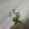 DSCN4971.JPG