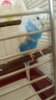 20160527_103154.jpg